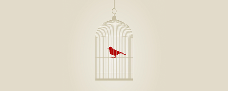 【破解版】永久的攻击网站在线工具